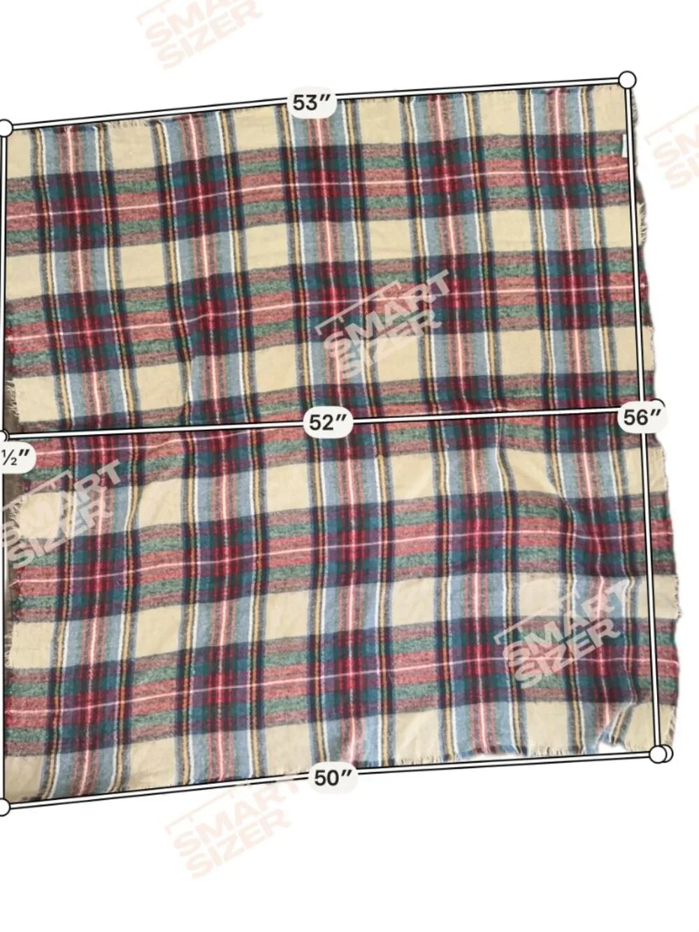 ZARA Accessories Plaid Fringe Scarf – M